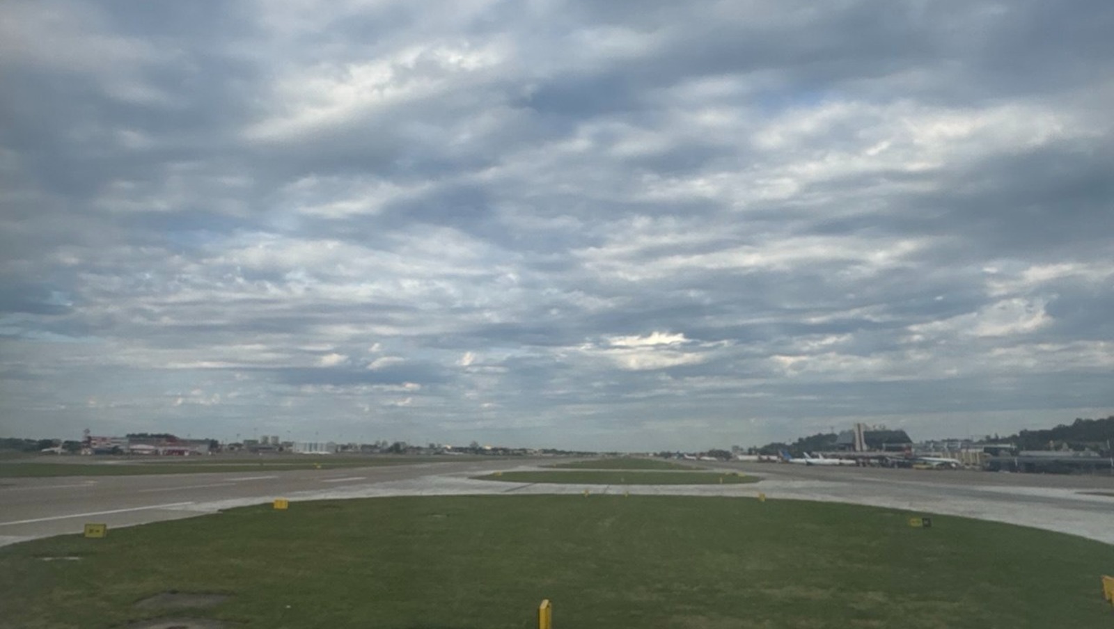 Елены Колоколовой.