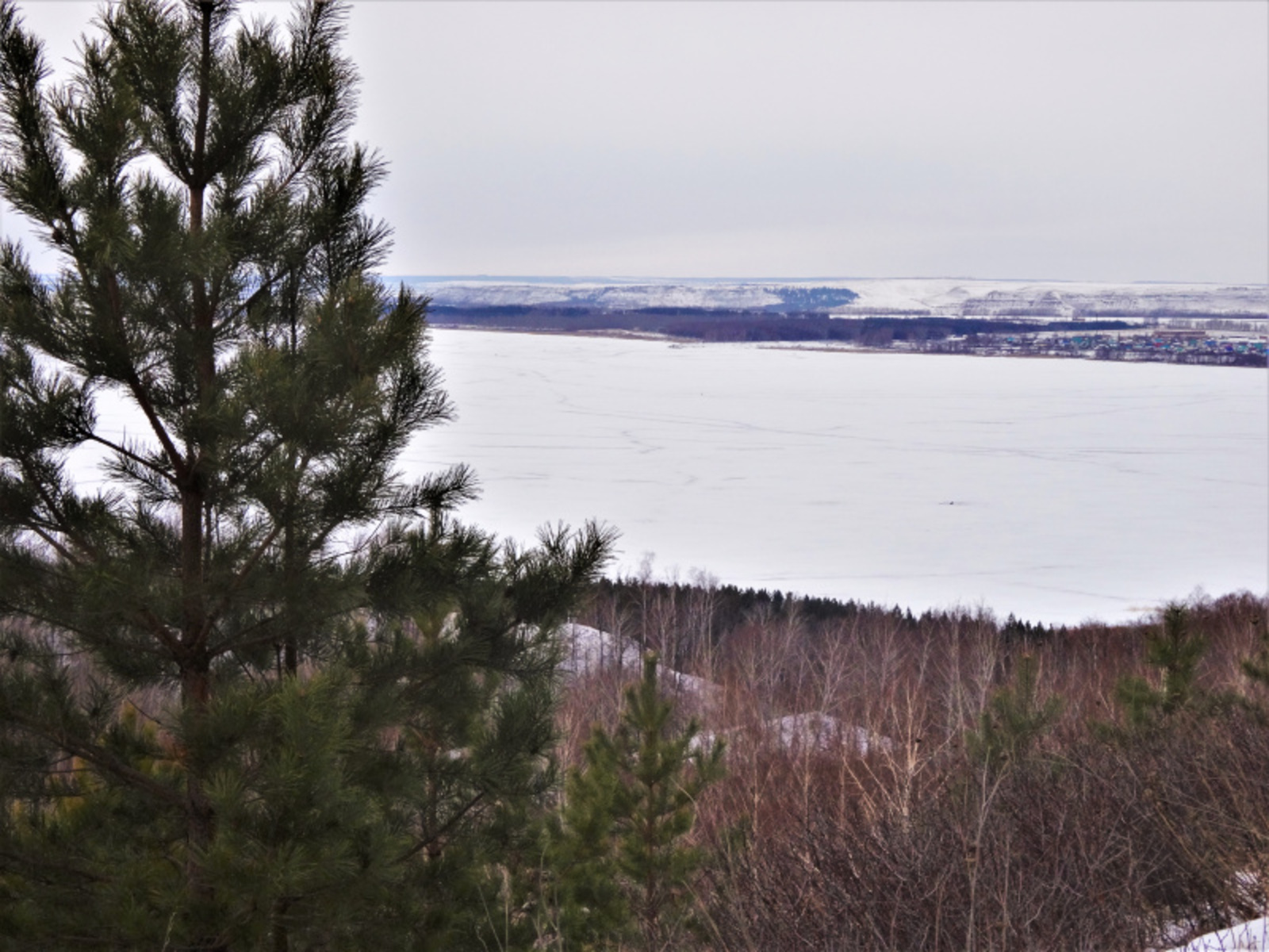 Фото Елены Колоколовой.