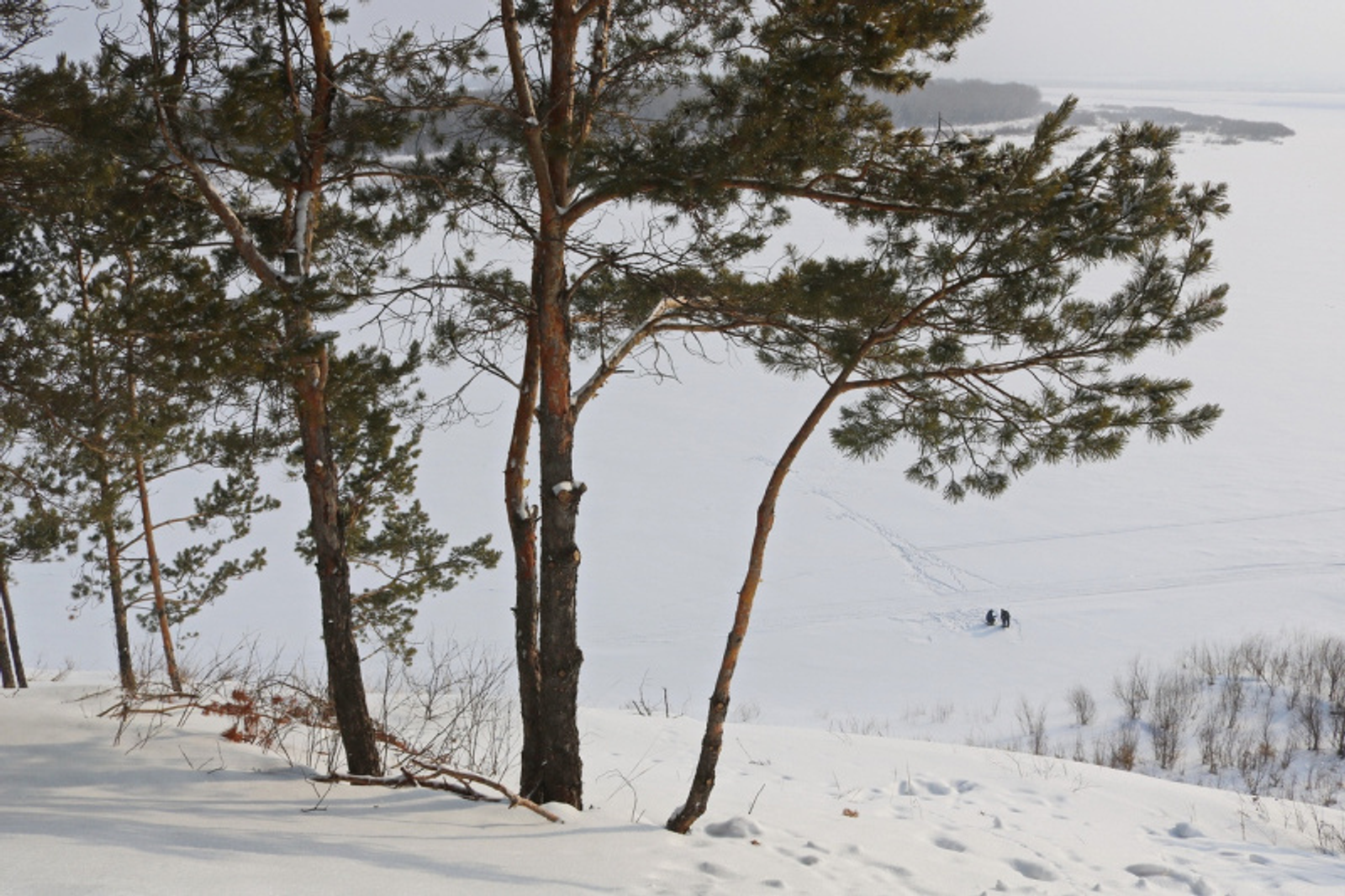 Фото Фарида Гильмиярова.