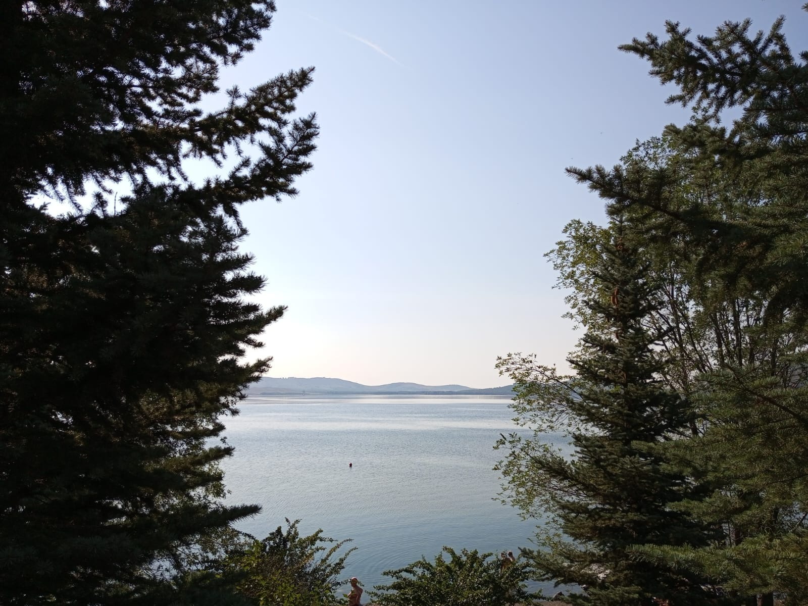 Евгении Сюткиной.