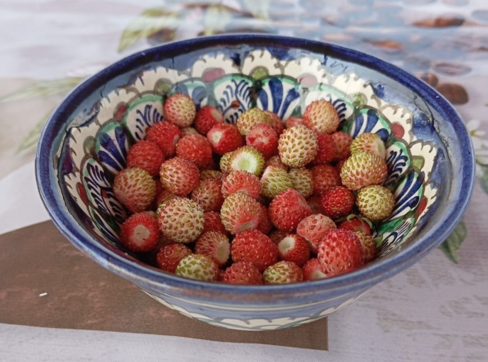 Раиля Латыпова.