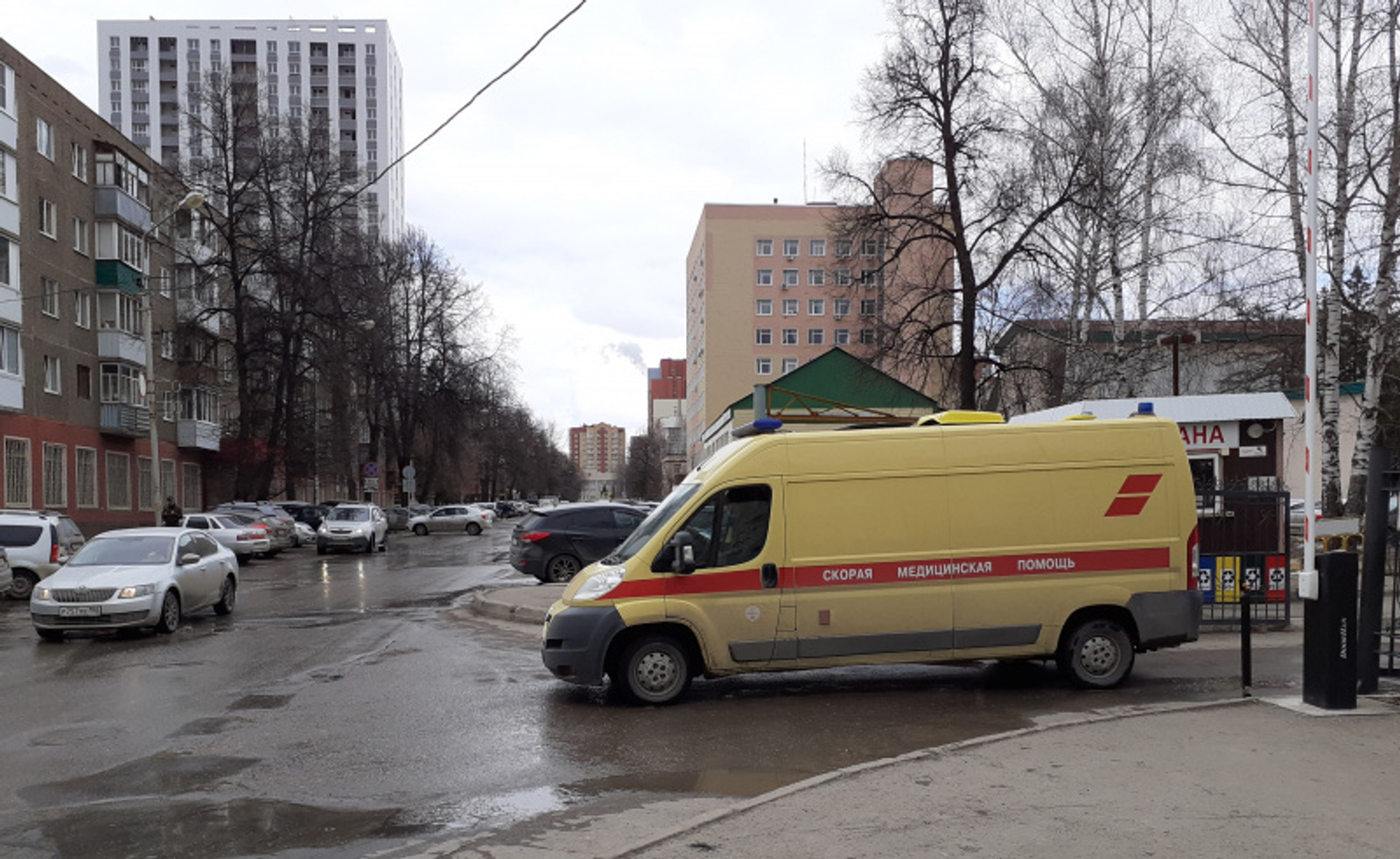 Фото автора.