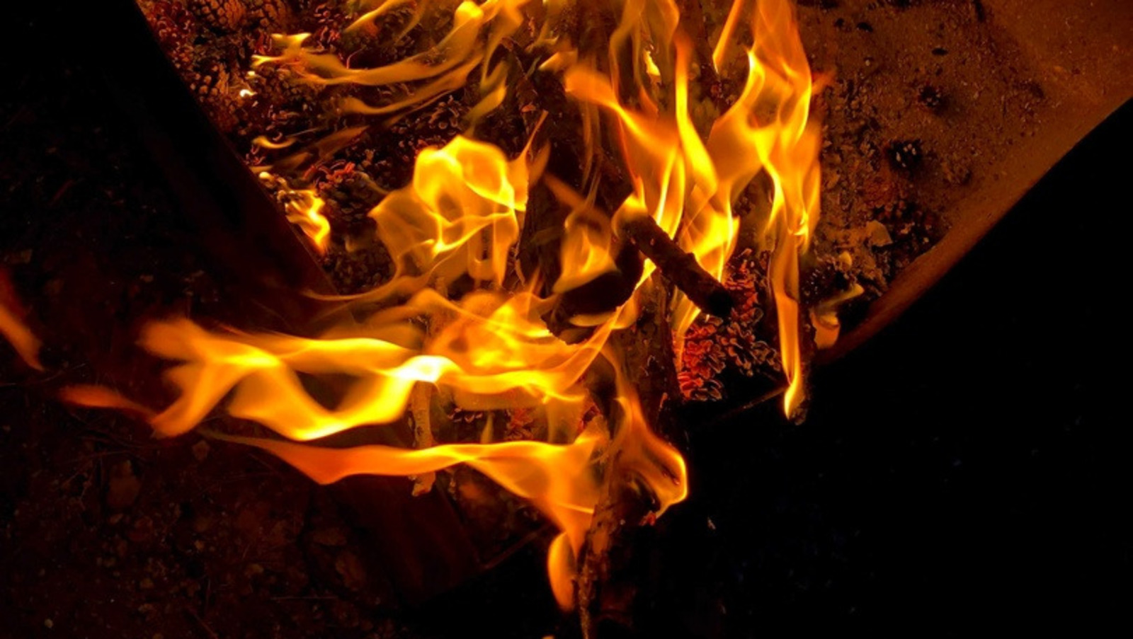 Елены Колоколовой.