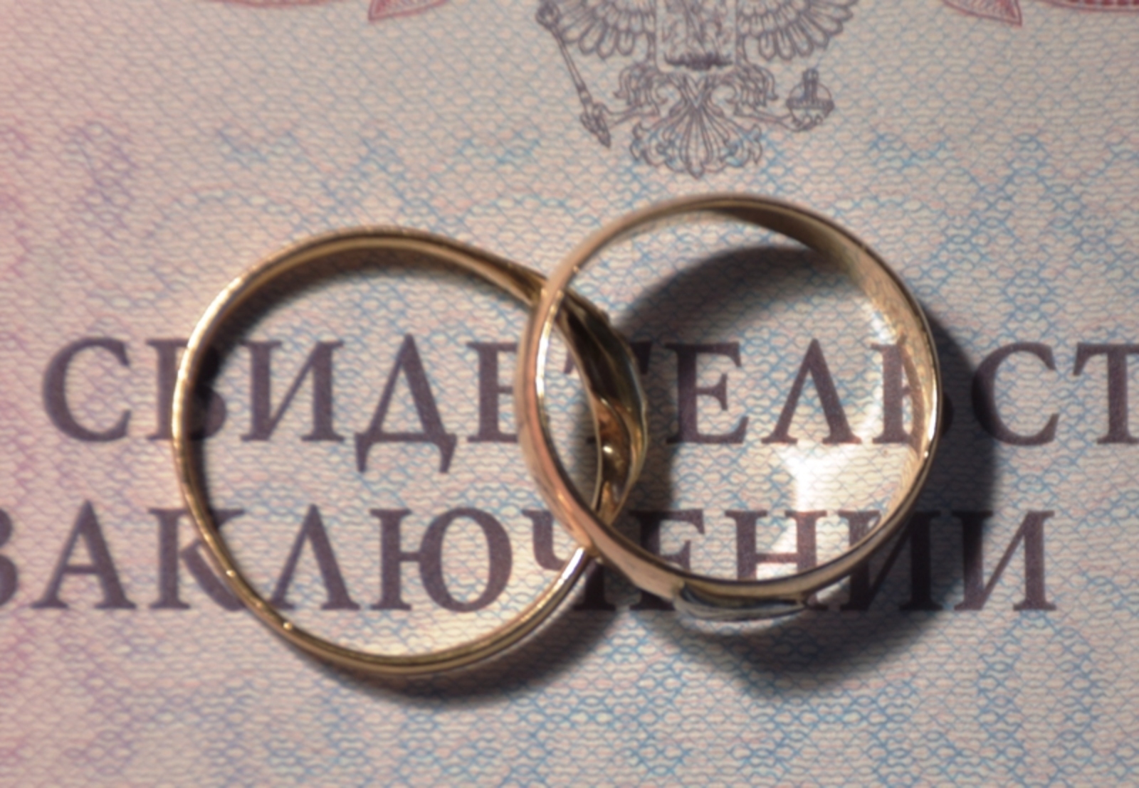 Фото Елены Колоколовой.