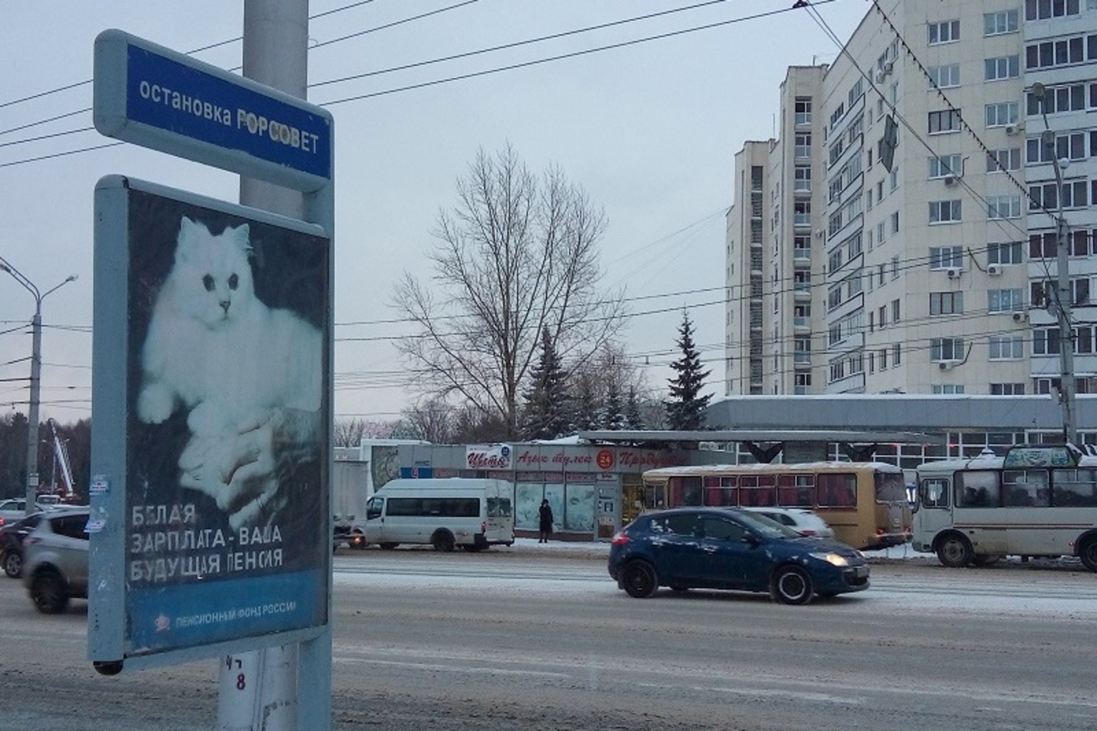 Фото автора.