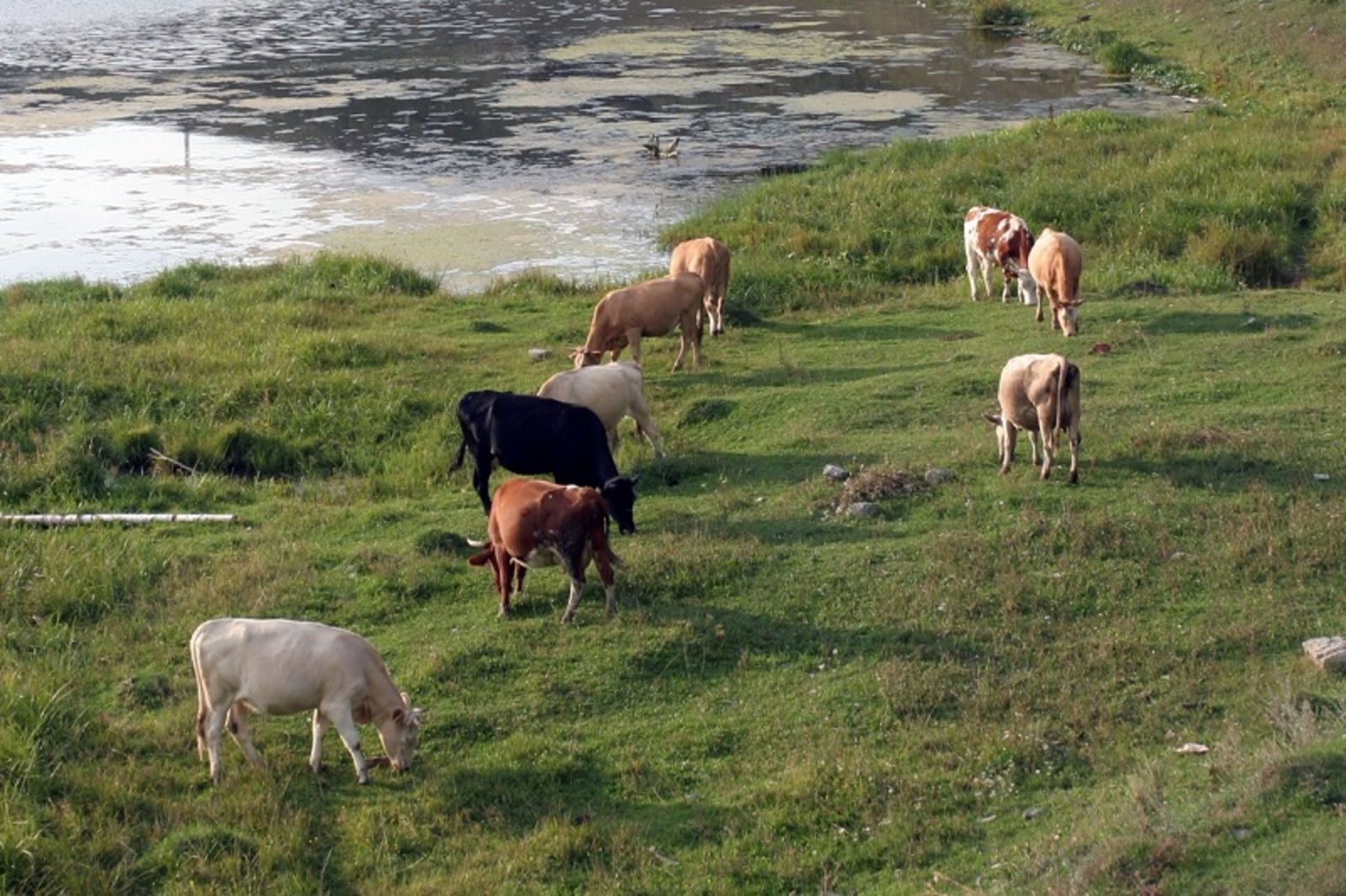 Фото Олега Яровикова.