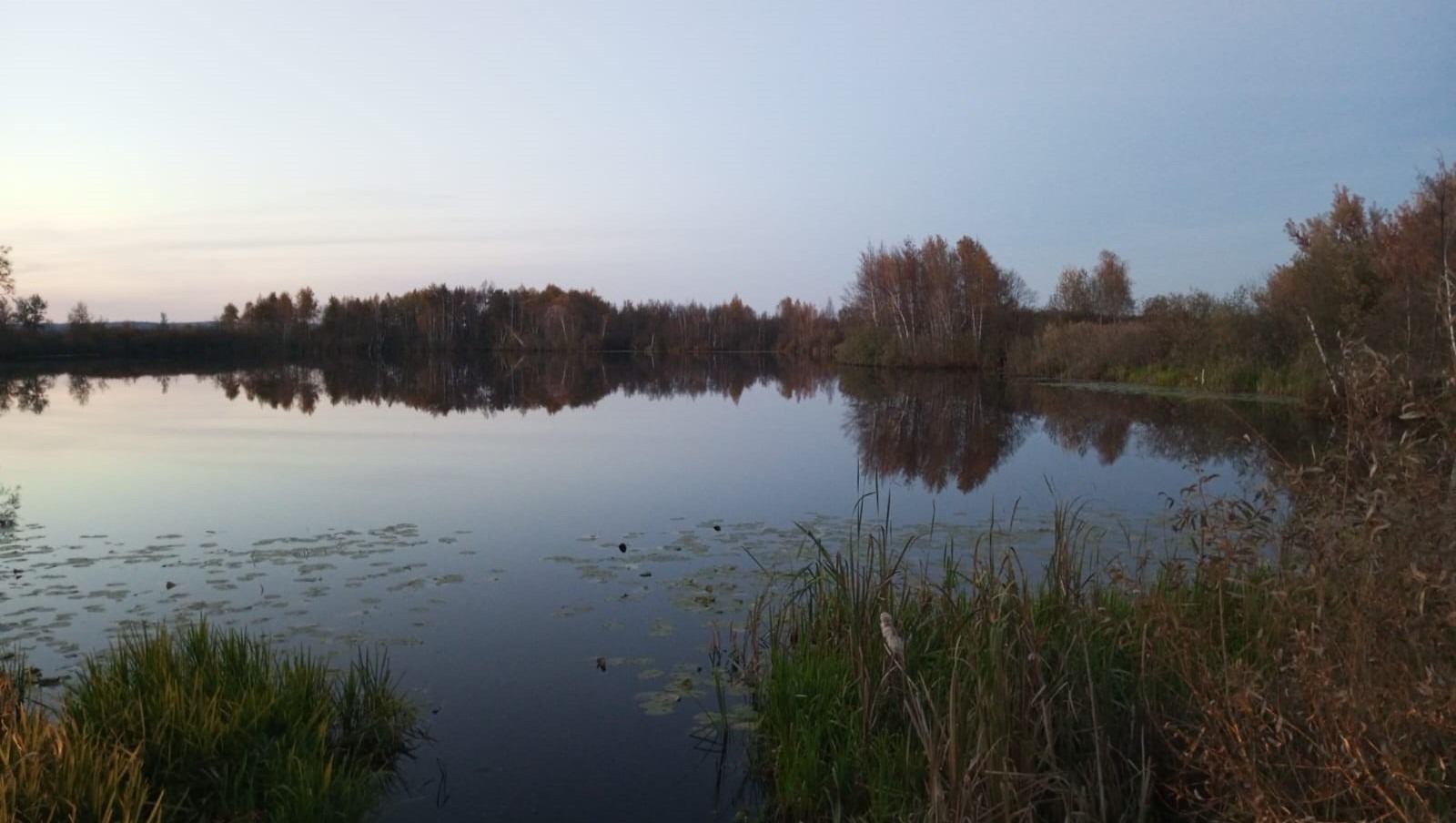 Евгении Сюткиной.