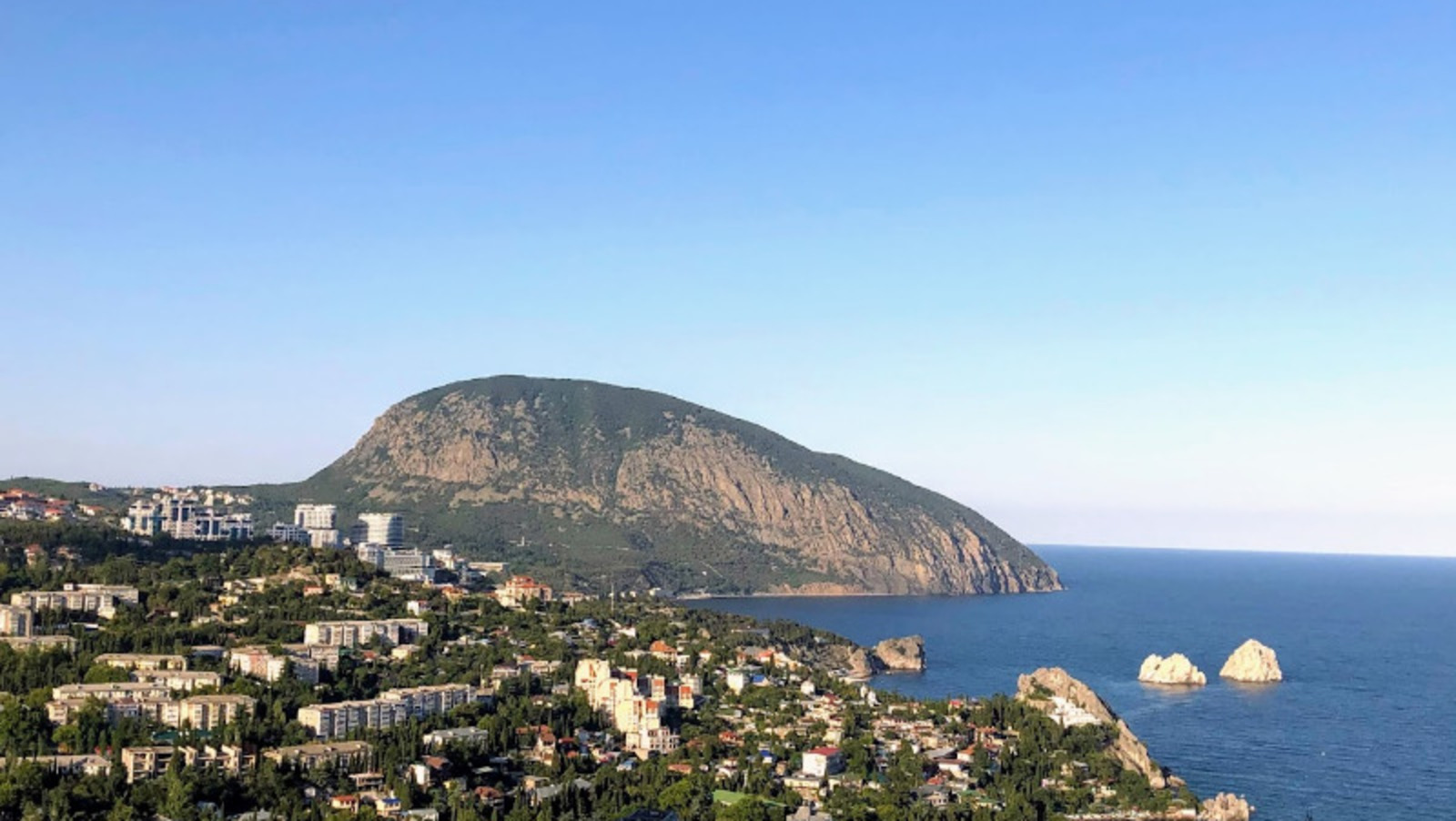 Елены Колоколовой.