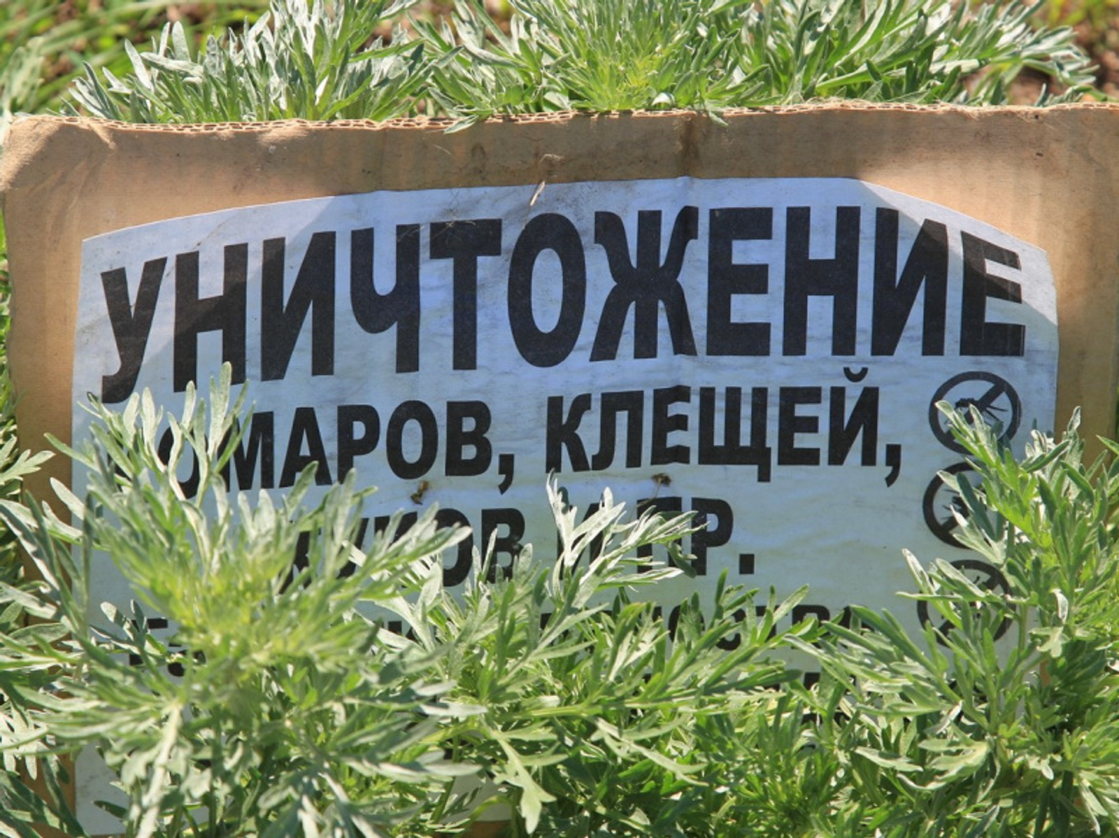 Фото Олега Яровикова.