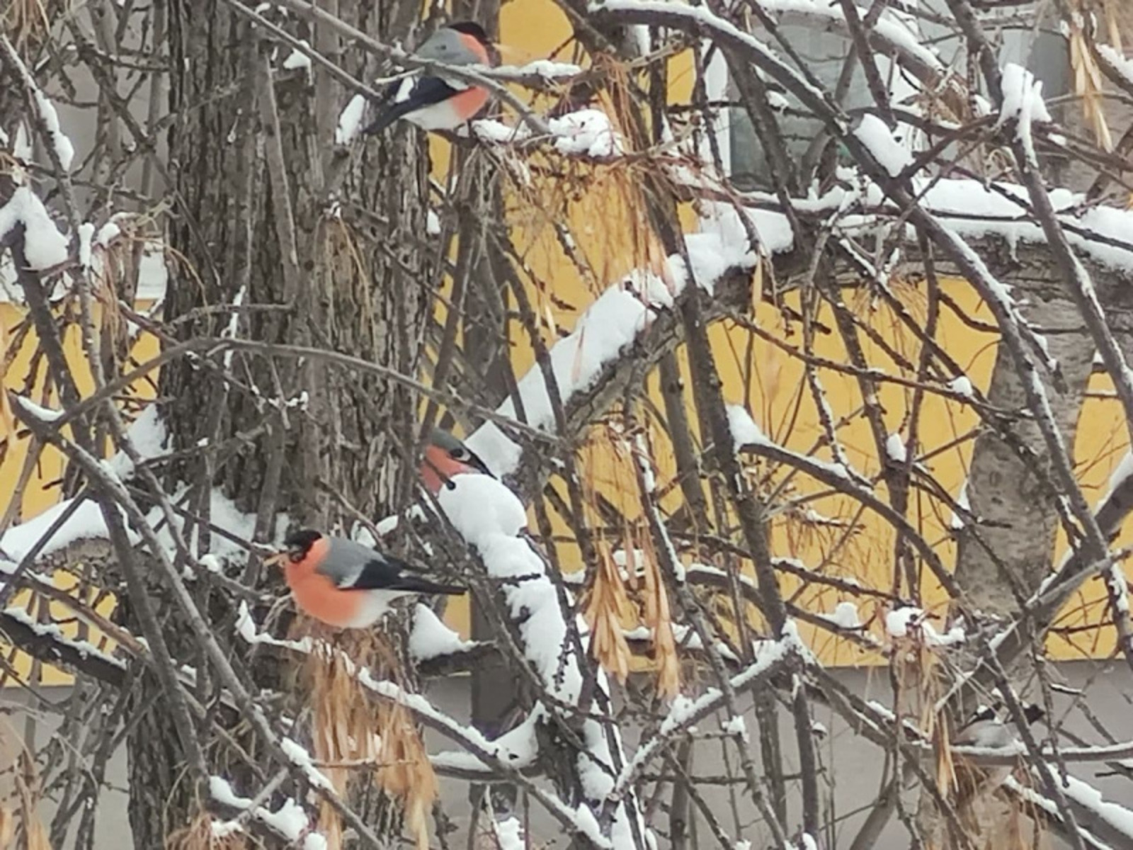 Фото автора.