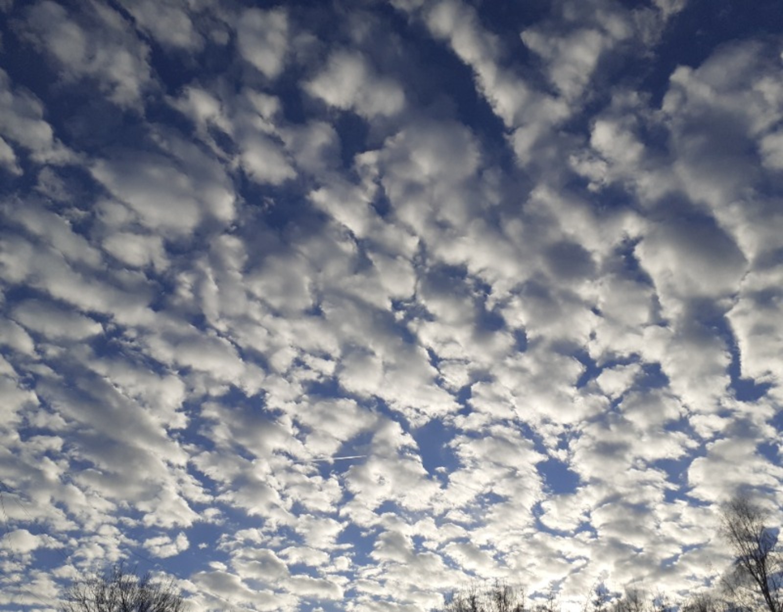 Владимира Шакиева.