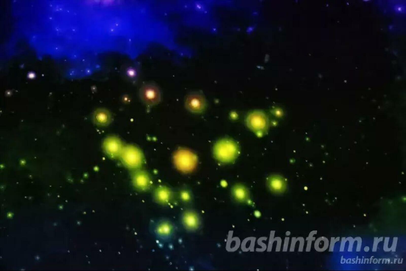 ИА «Башинформ».