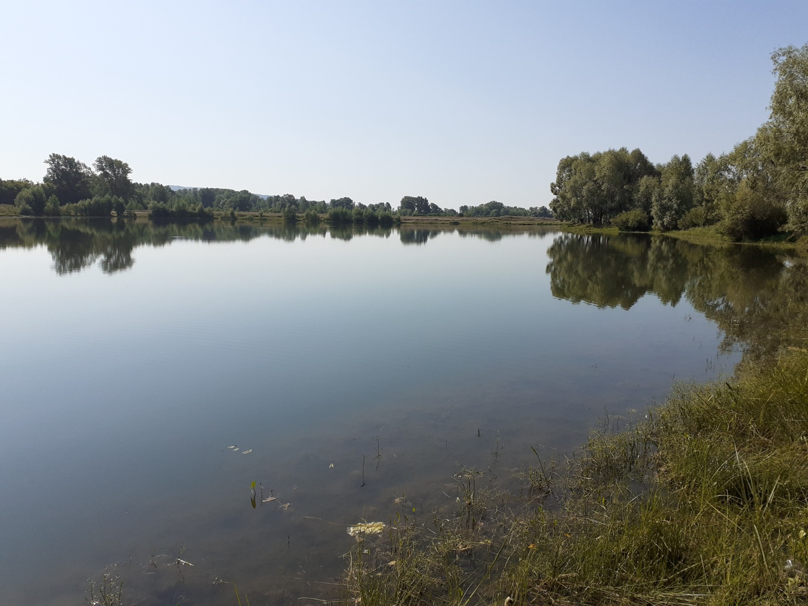 Владимира Шакиева.