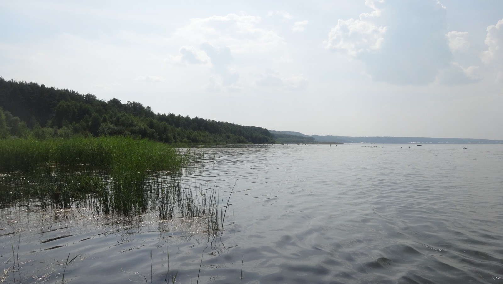 Елены Колоколовой.