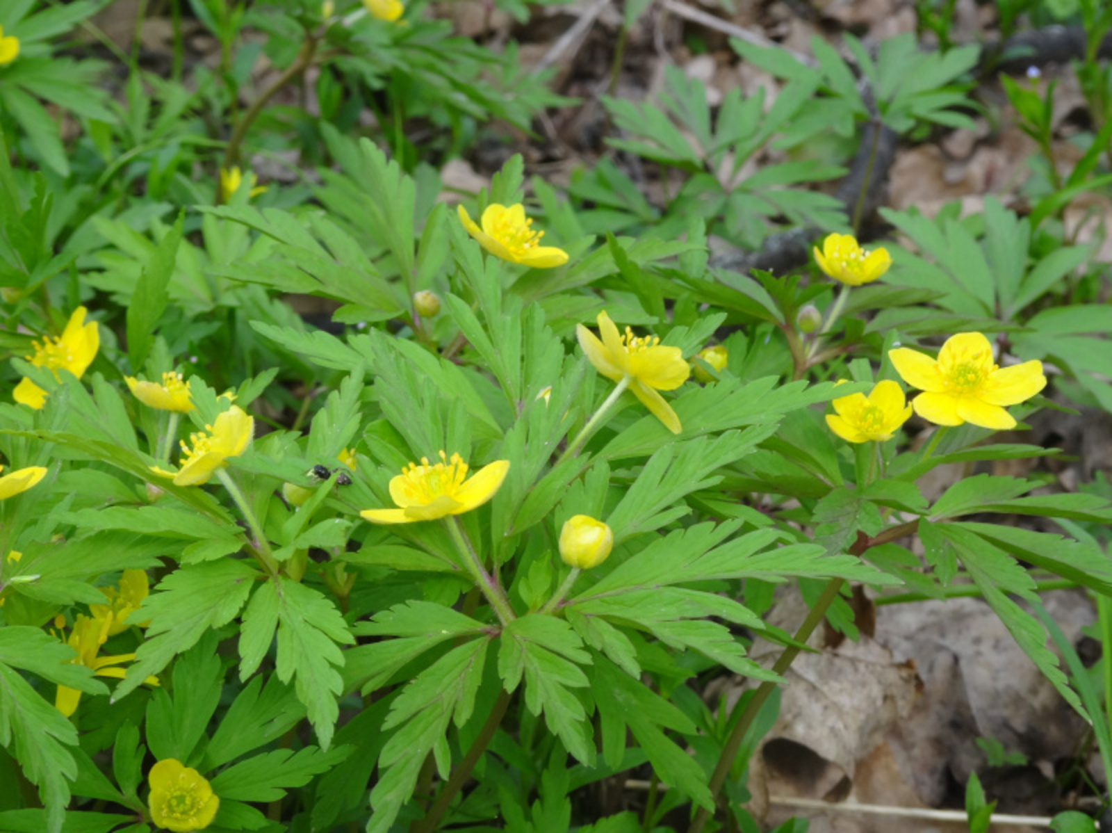 Фото Елены Колоколовой.