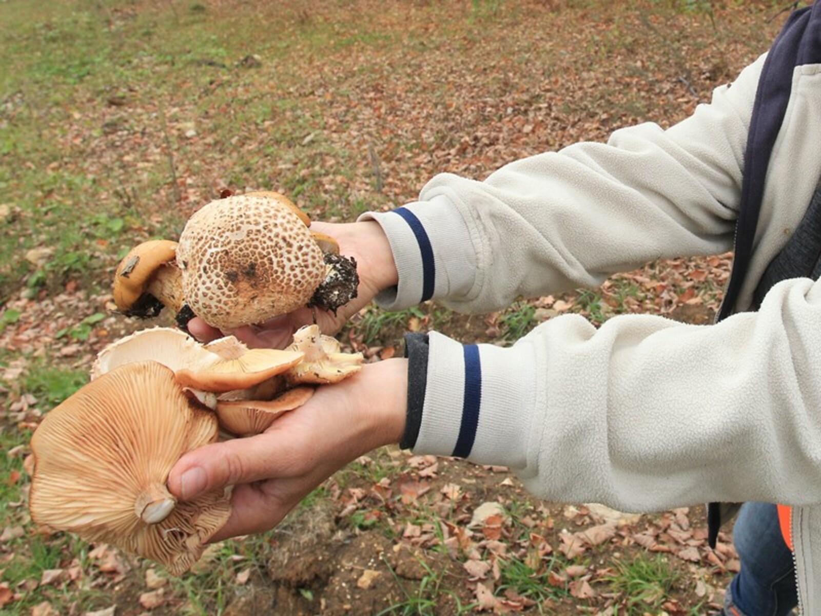 Фото Олега Яровикова.