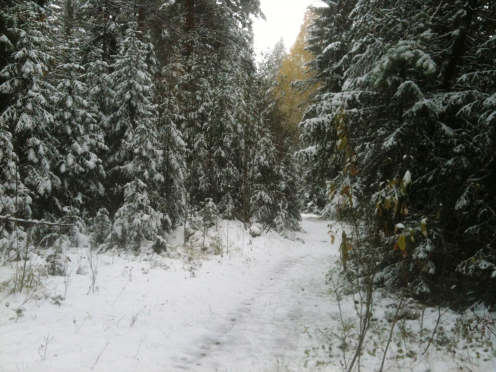 Фото автора.