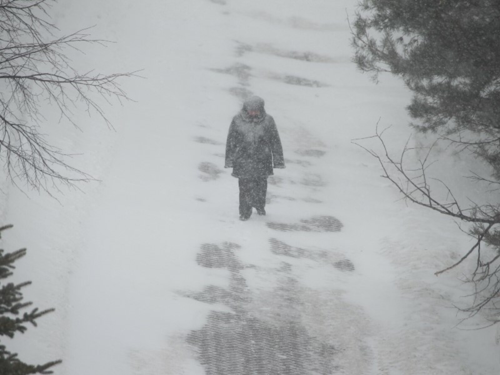 Фото Олега Яровикова.