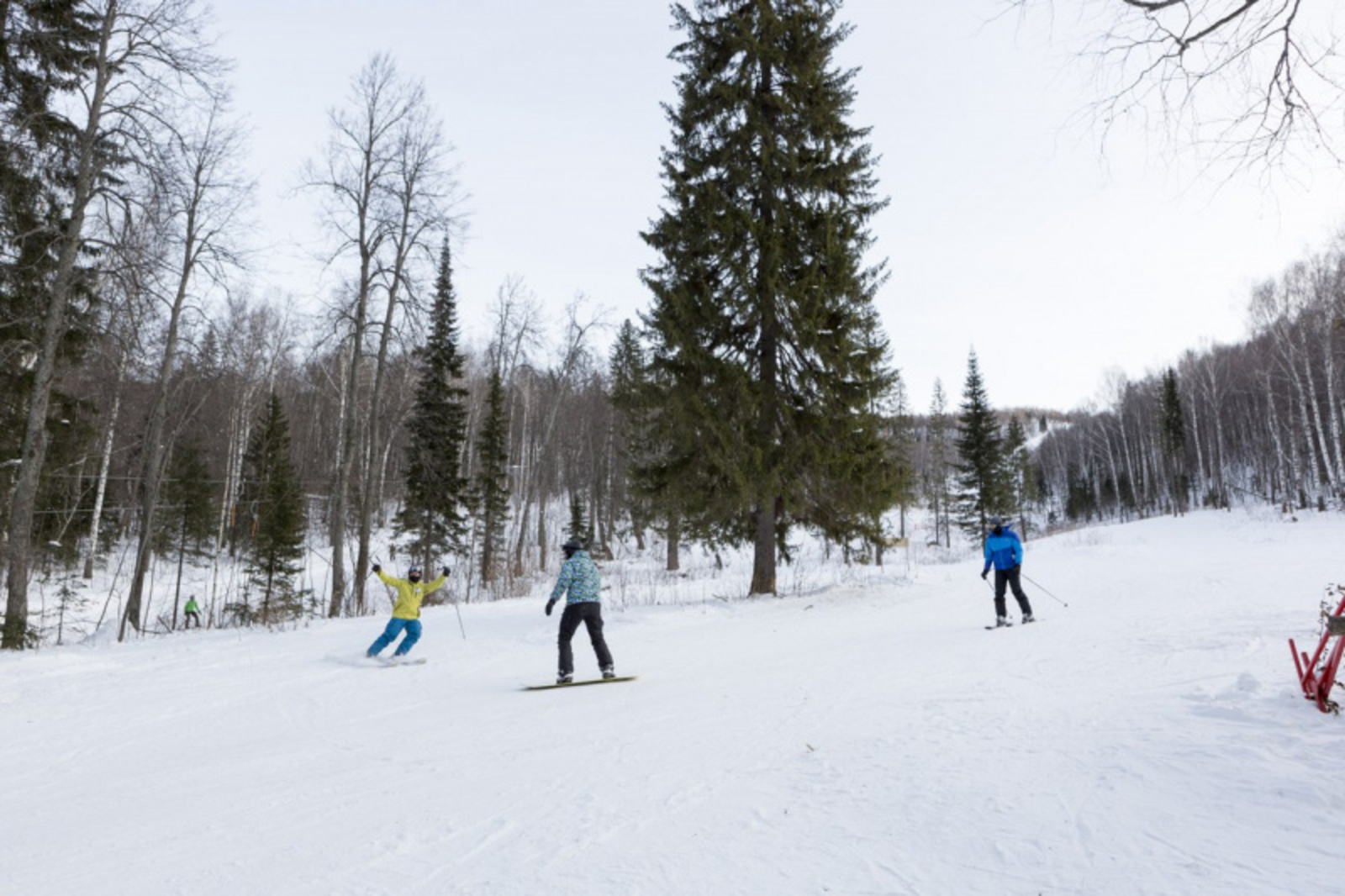 Фото автора.