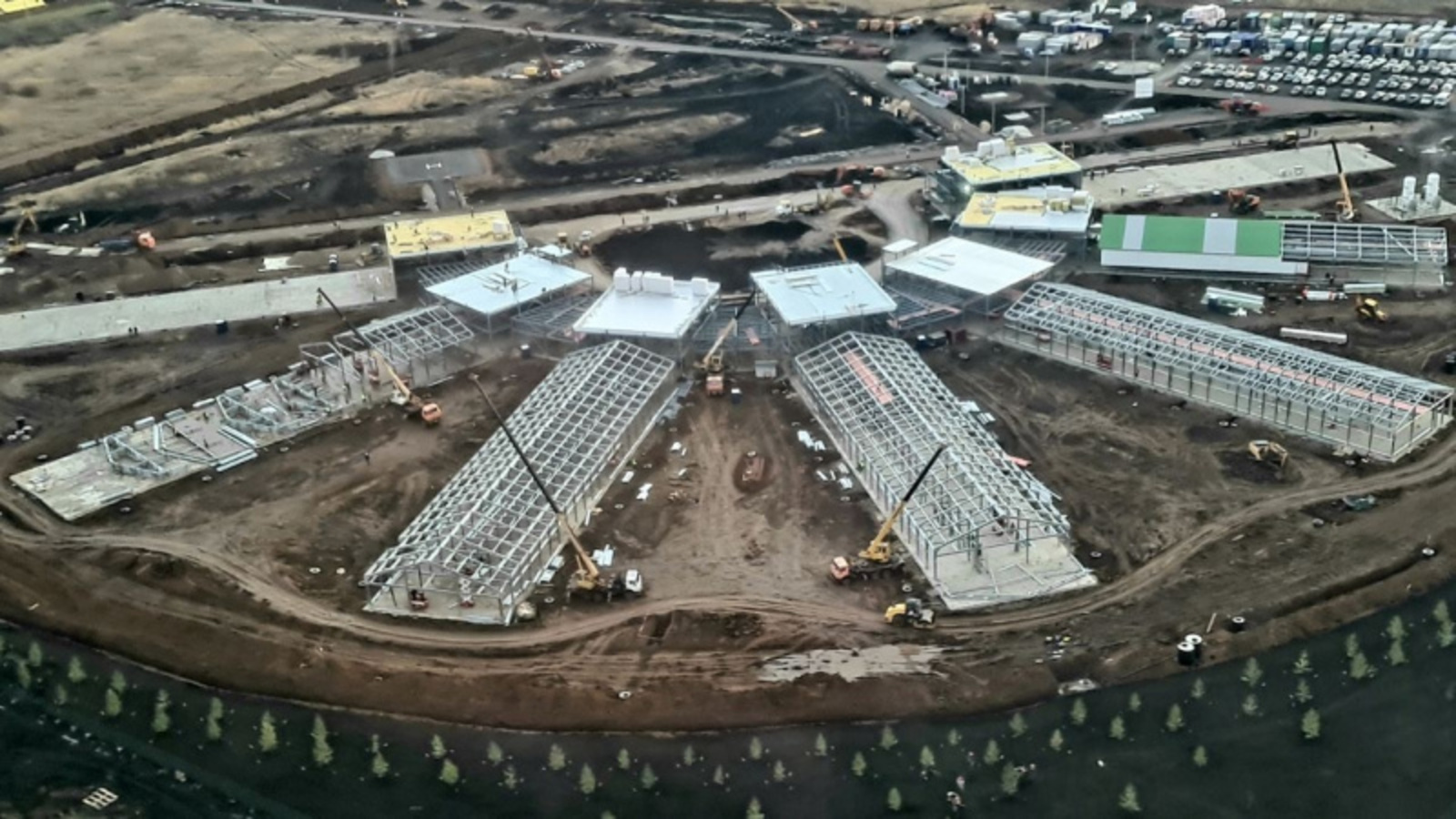 Фото со страницы Радия Хабирова в соцсети.