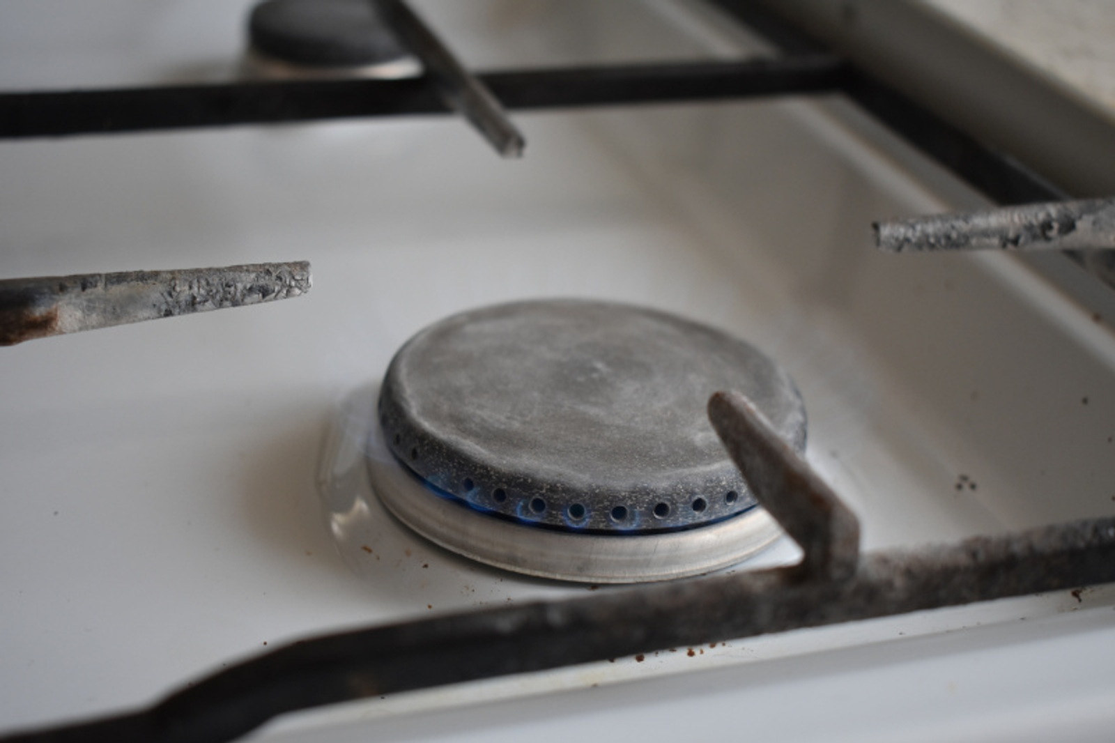 Фото Елены Колоколовой.