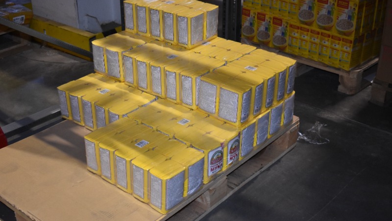 Елены Колоколовой.