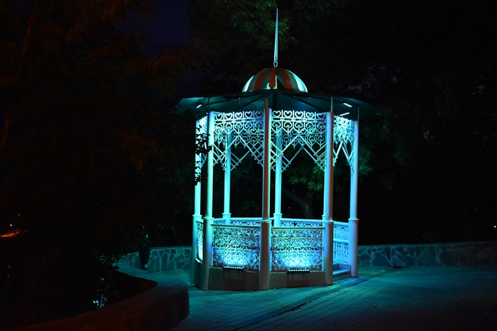 Фото автора.