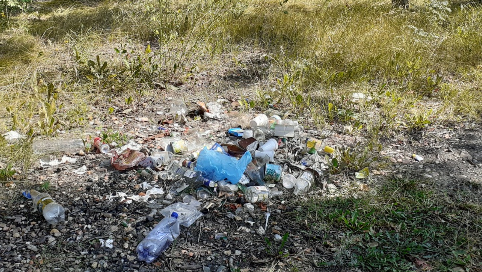 Владимира Шакиева.