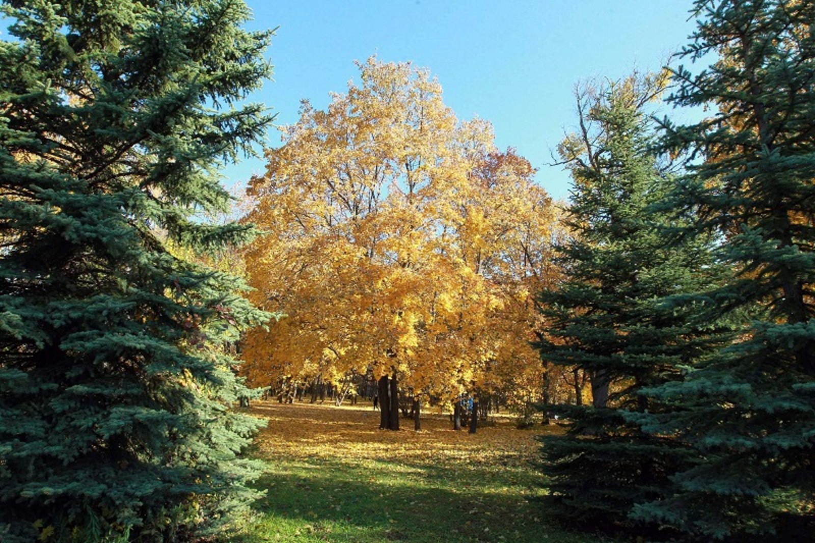 Фото Олега Яровикова.