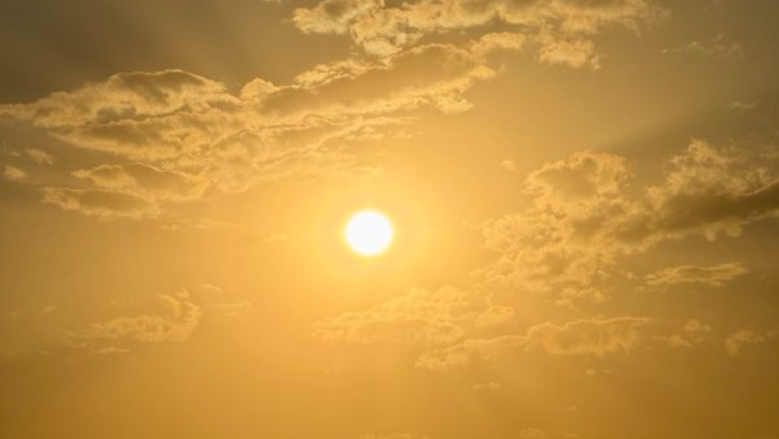 Елены Колоколовой. «Общественная электронная газета».