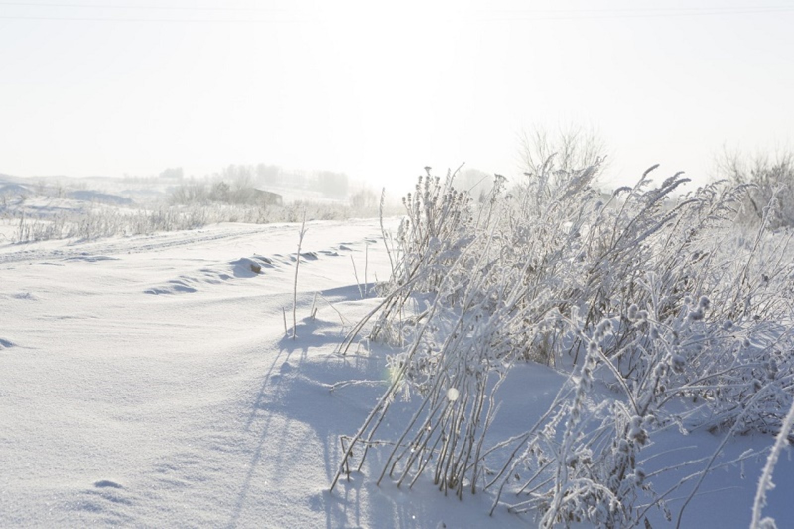 Фото Фаиля Абсатарова.