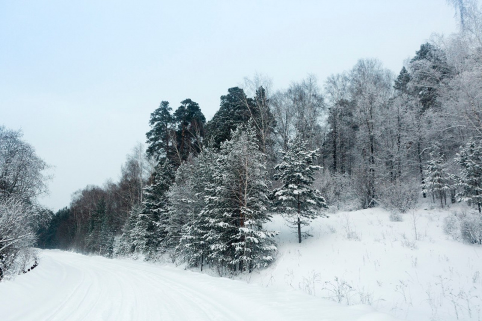 Фото Фаиля Абсатарова.
