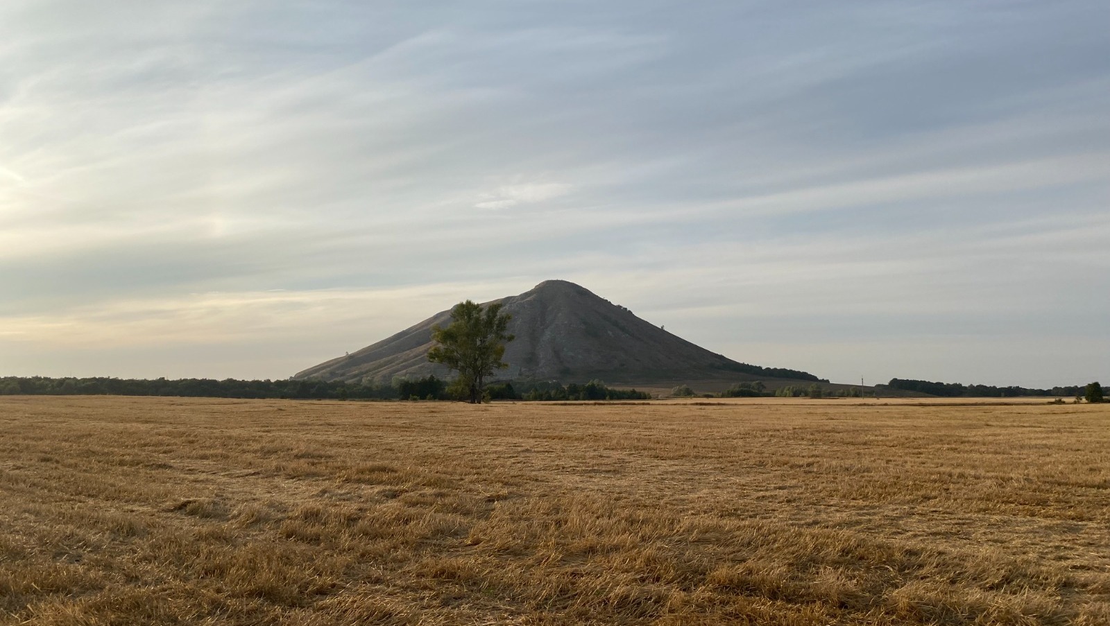 Елены Колоколовой.