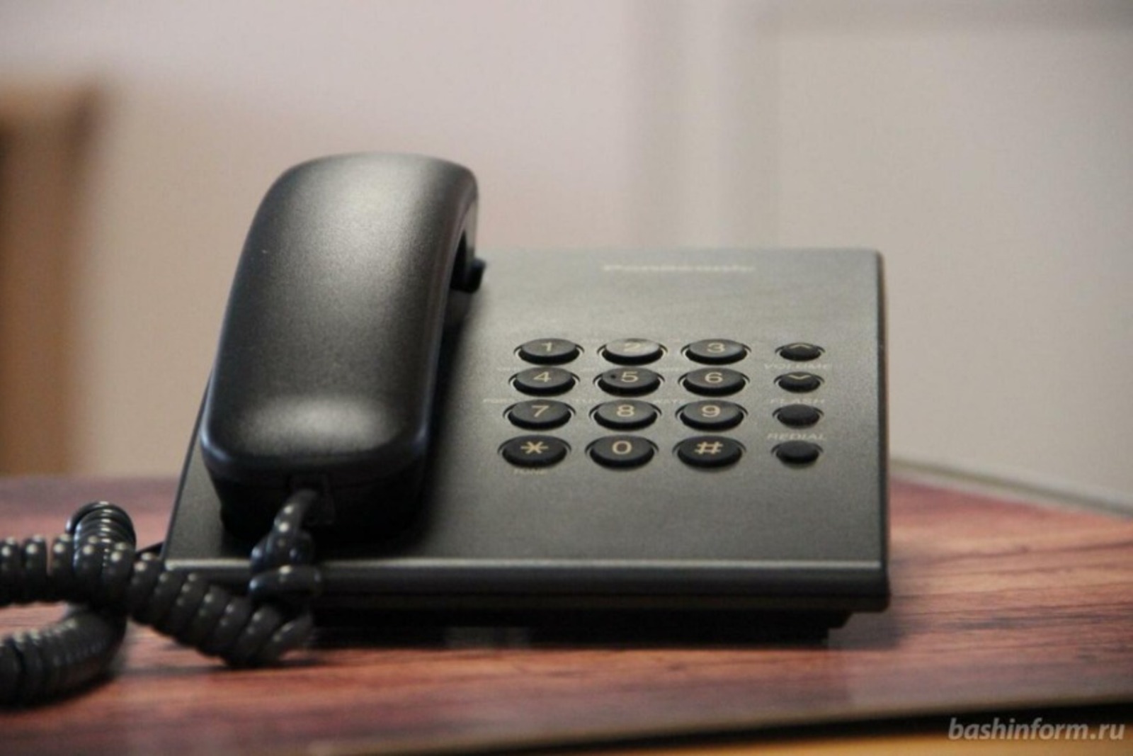 Карины Камаевой. ИА «Башинформ».