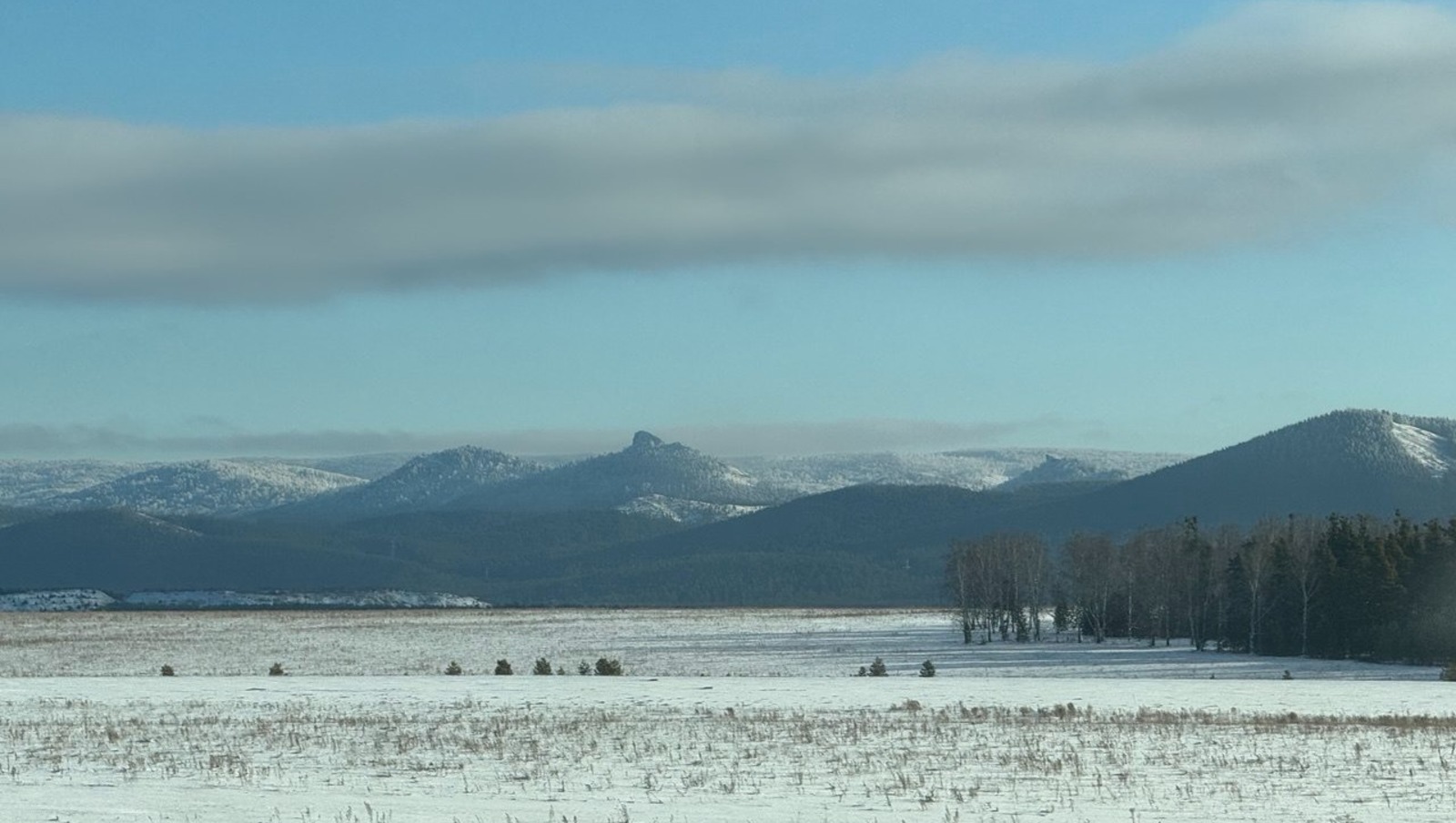 Елены Колоколовой.  «Общественная электронная газета».