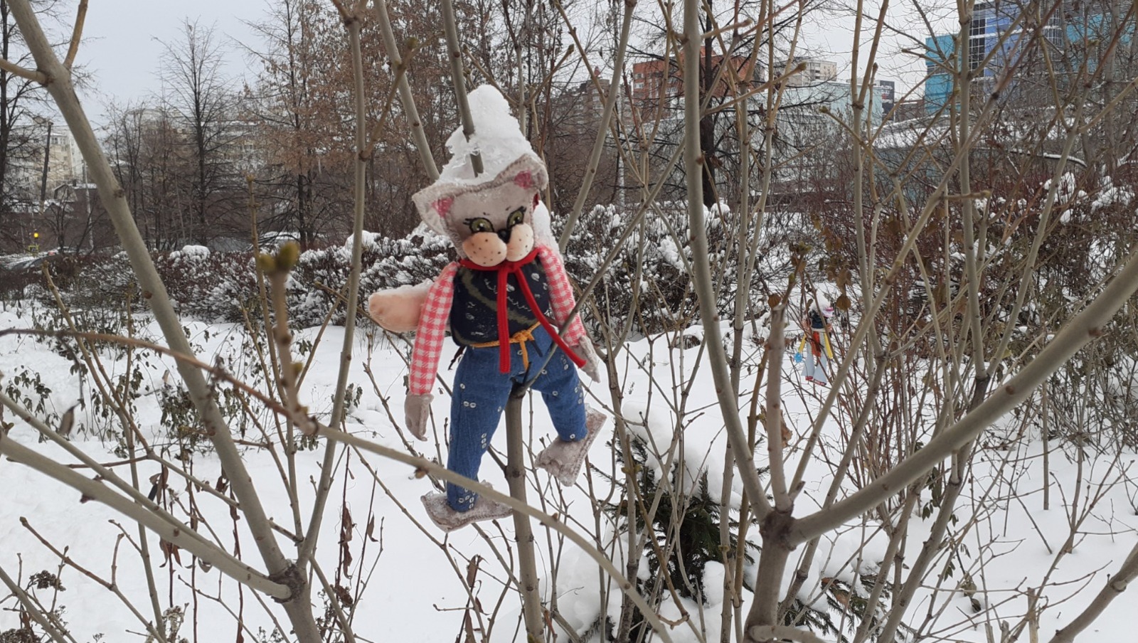 Владимира Шакиева.