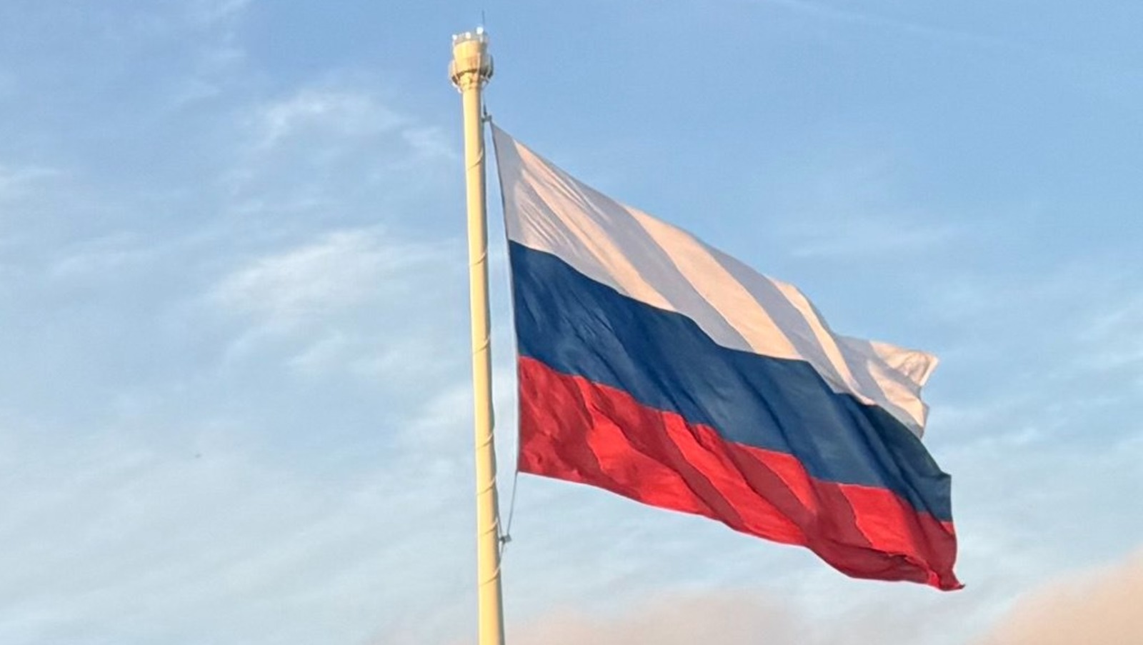 Елены Колоколовой.