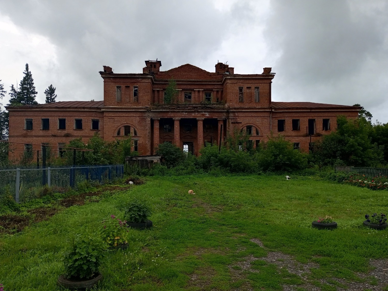 Евгении Сюткиной. «Общественная электронная газета»