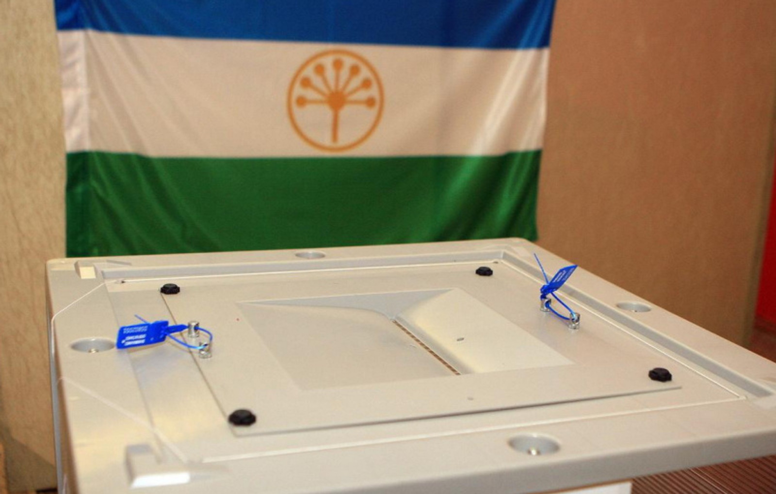 Фото Олега Яровикова.