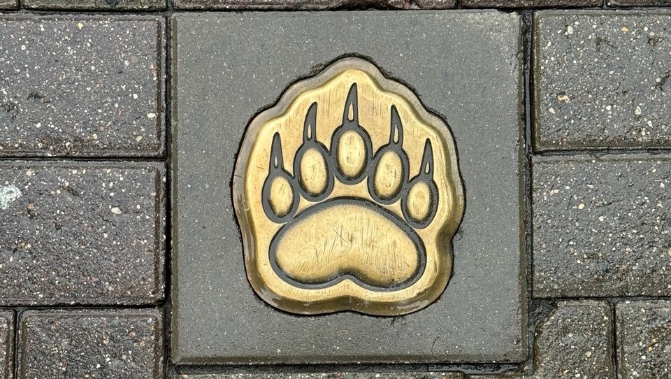 Елены Колоколовой. «Общественная электронная газета».