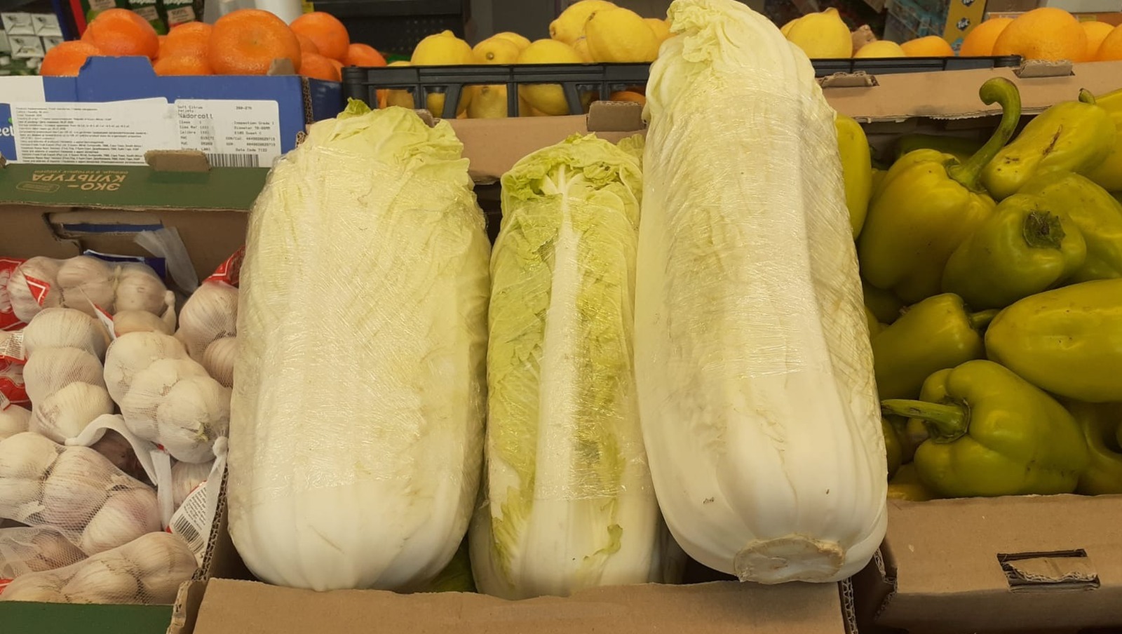 Владимира Шакиева.