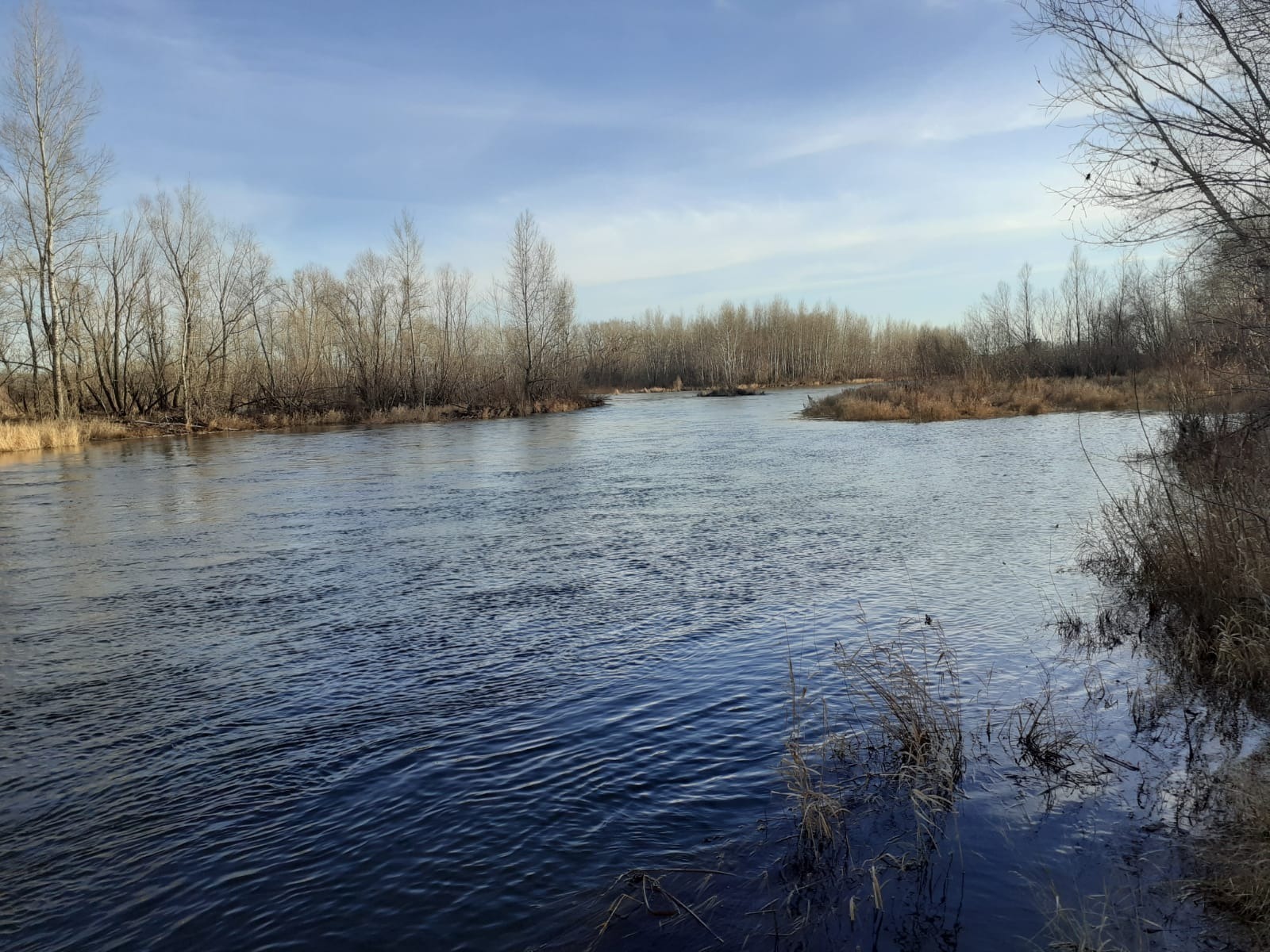 Владимира Шакиева.