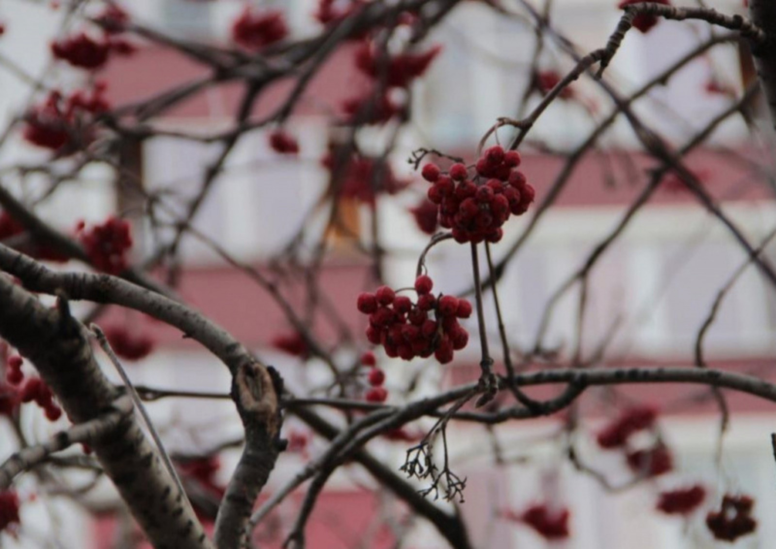 Фото: ИА «Башинформ».