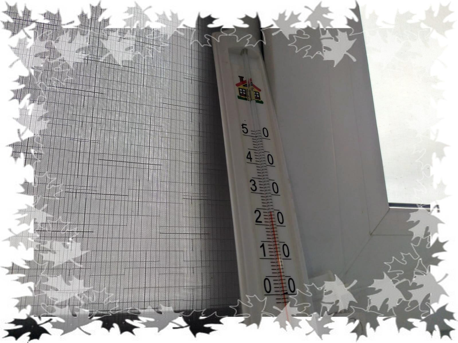 Васили Саитовой.