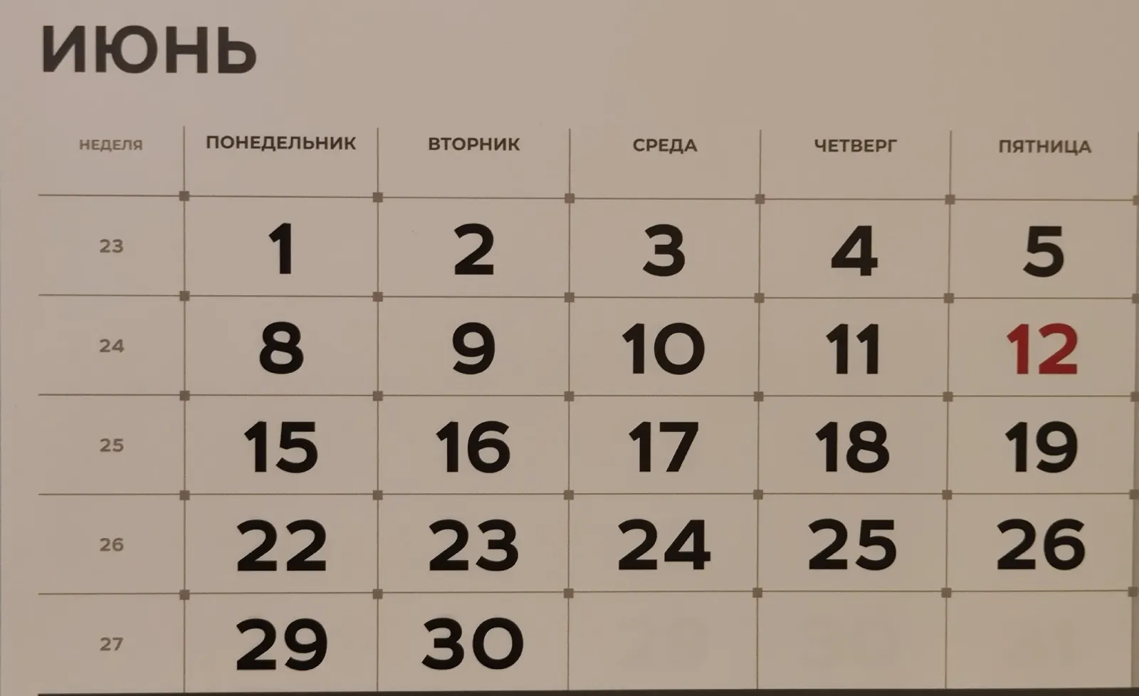 Дарьи Святохиной. «Общественная электронная газета».