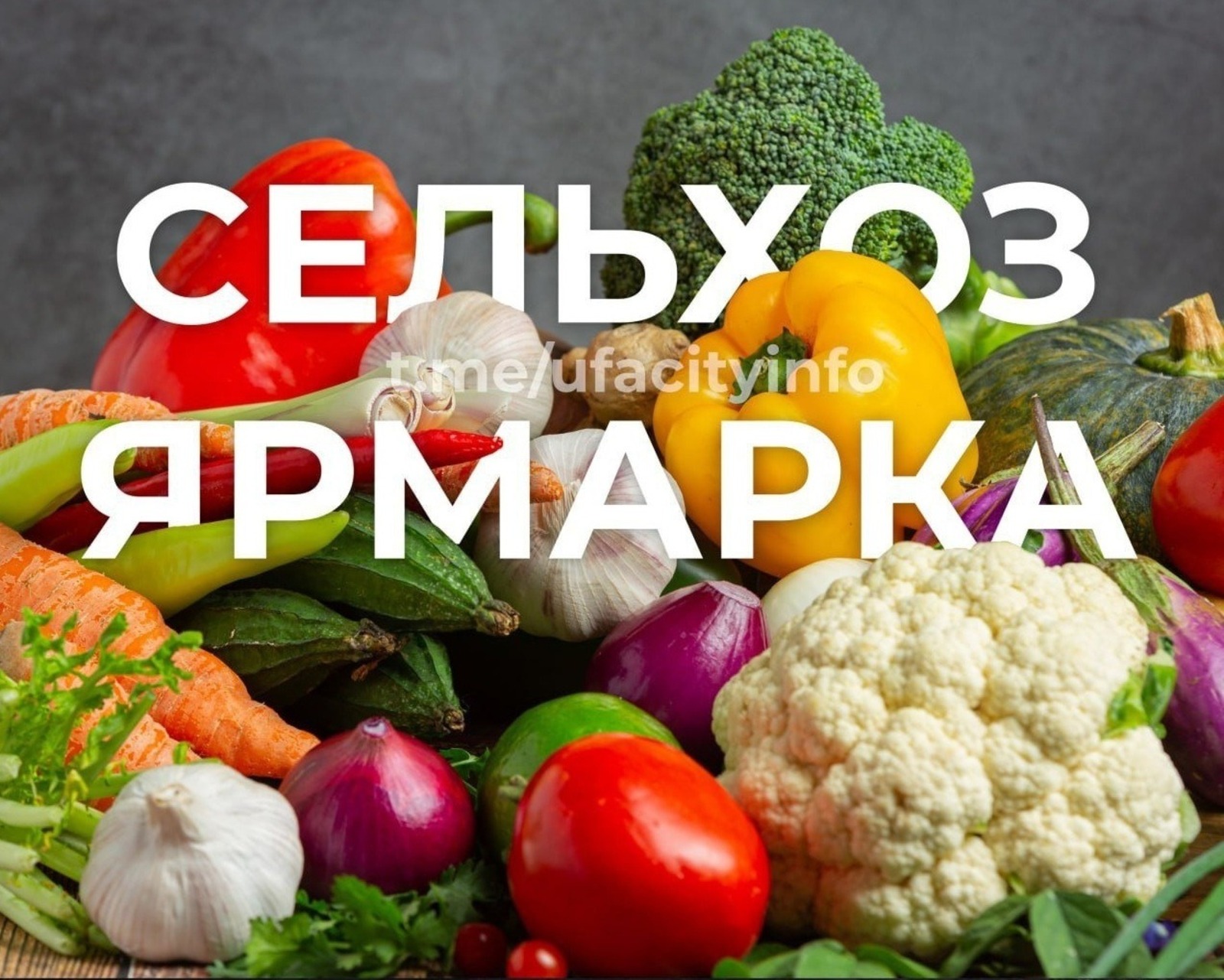 администрация Уфы.