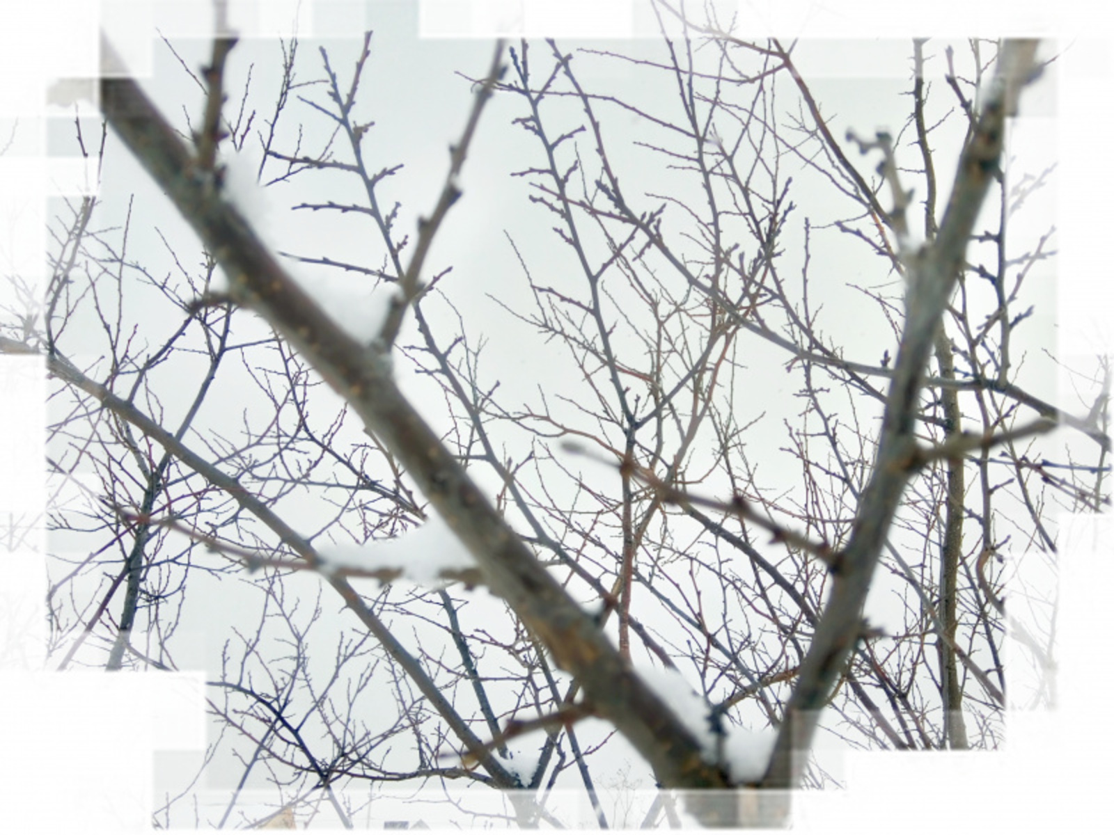 Фото Васили Саитовой.