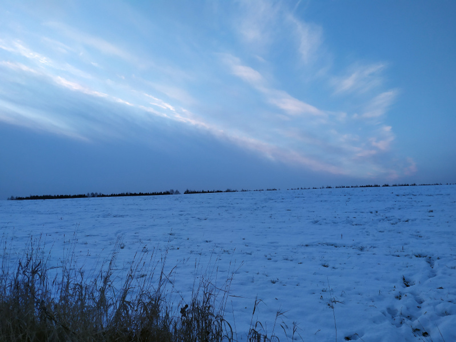 Фото Васили Саитовой.