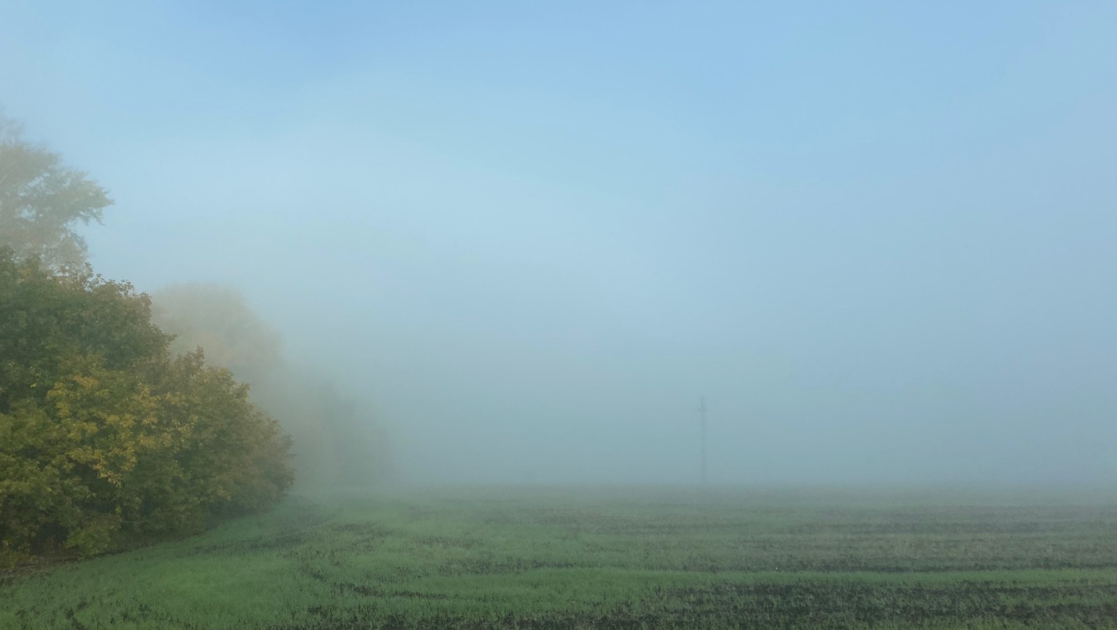 Елены Колоколовой.