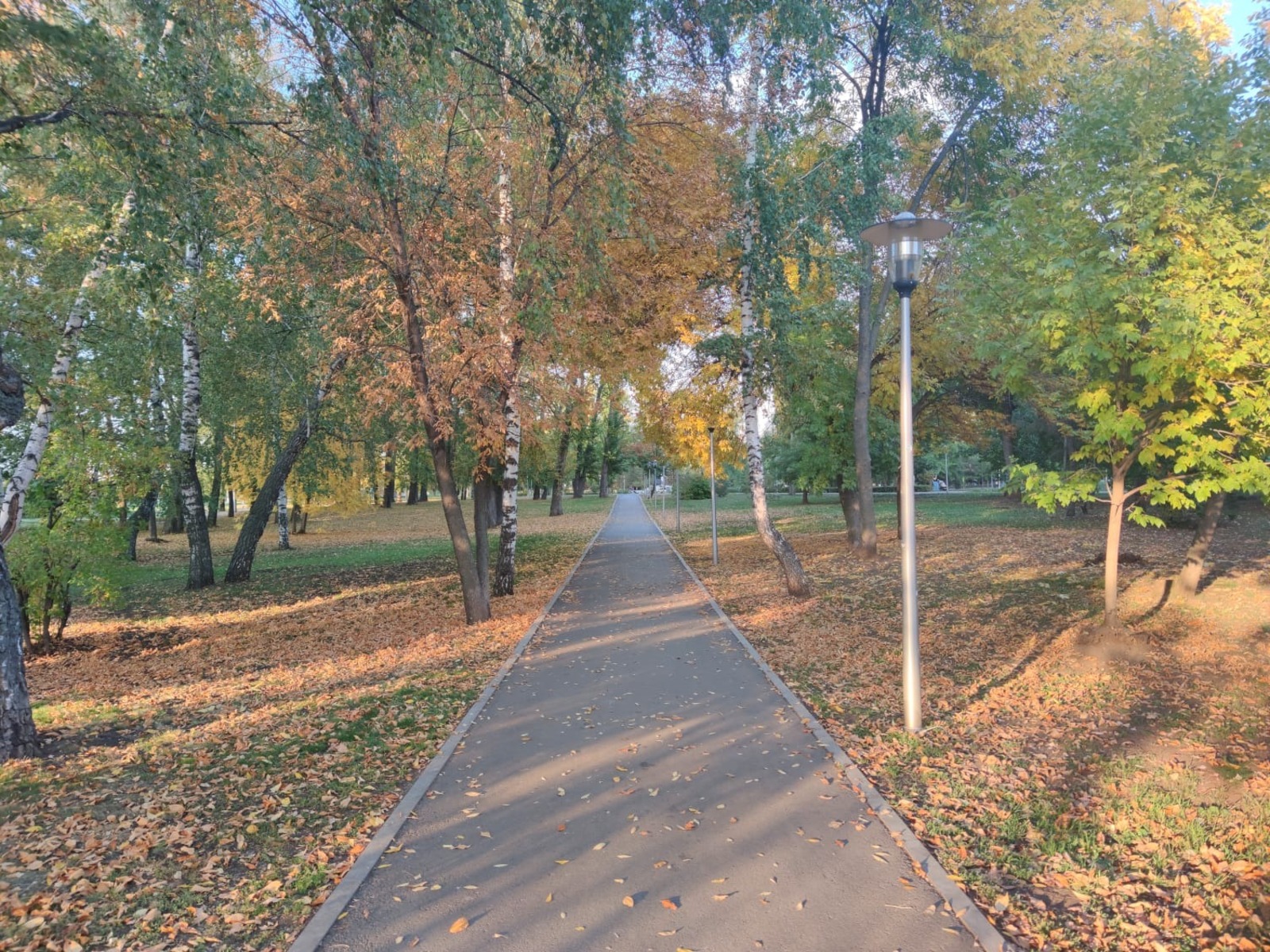 Дарьи Святохиной.